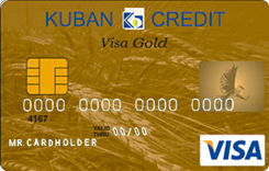  Visa Gold  Gold  